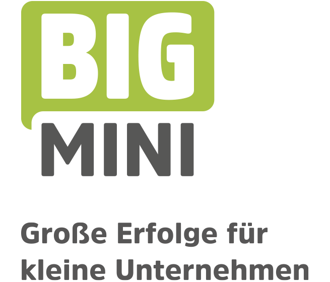 Bigmini